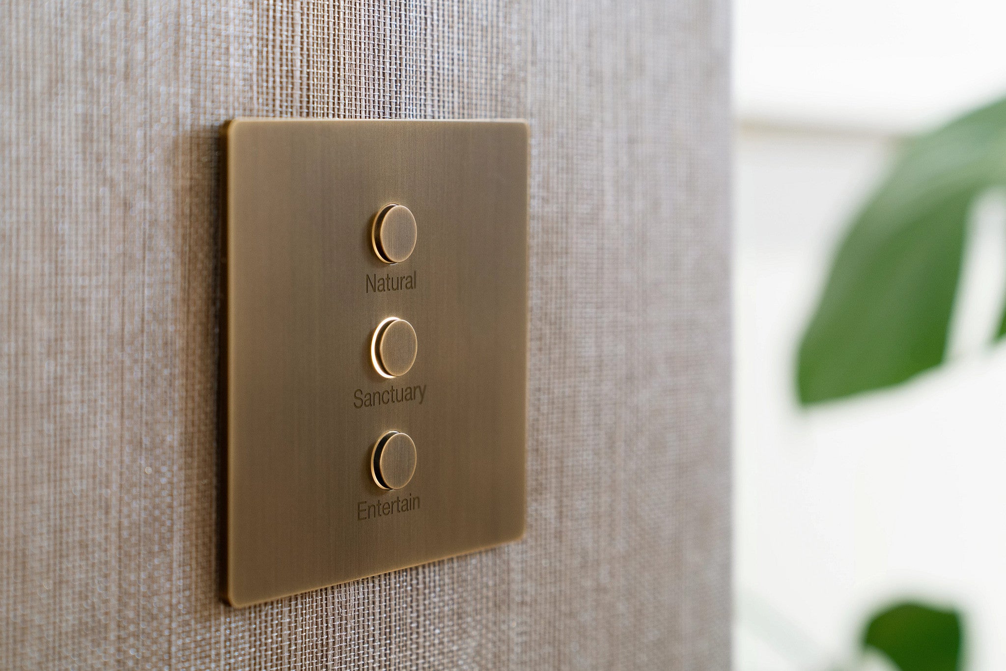 Lutron Clavier contrôle d'éclairage Alisse 